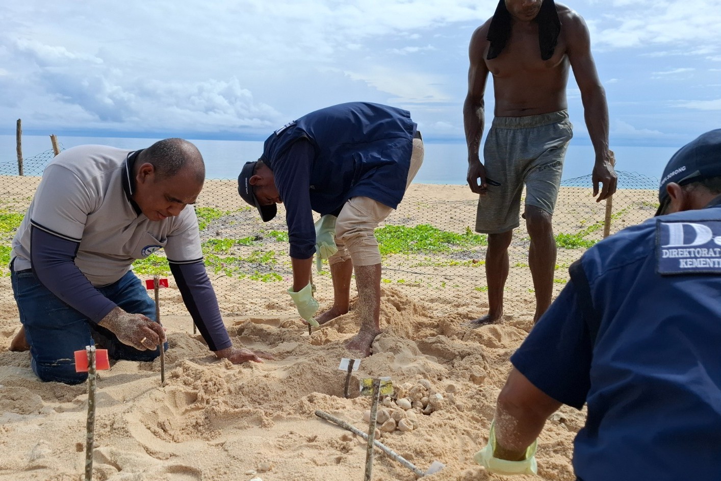 Hutan mangrove di pesisir Papua